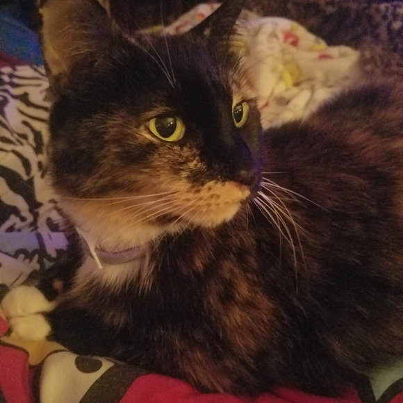 READ Before You Offer Or Buy - Picture 14 of 15